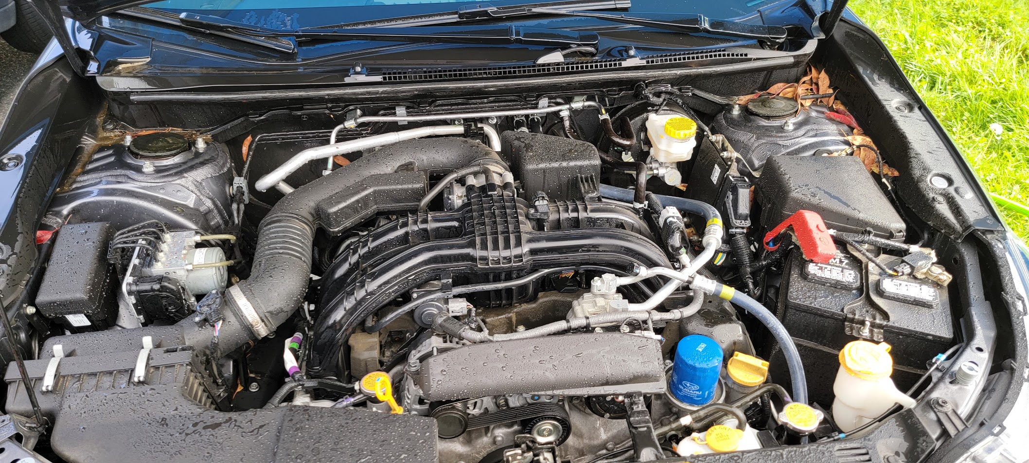 Engine bay before detailing